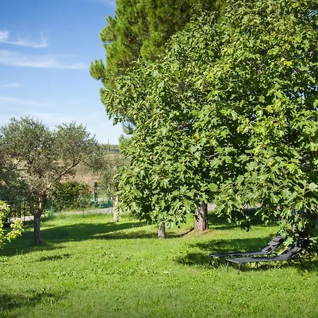 Appartamento Noon Visano